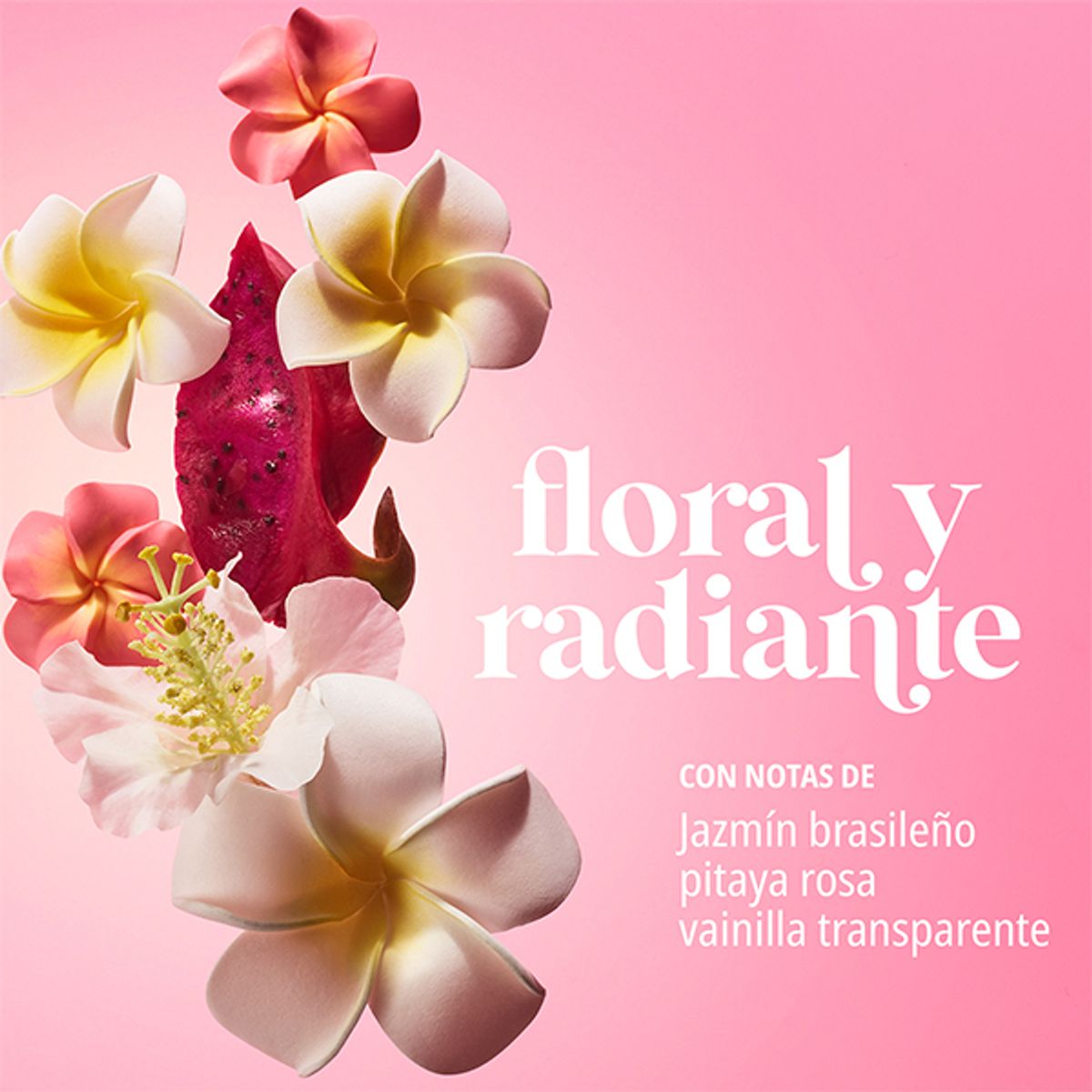 Sol de Janeiro Crema Corporal Beija Flor