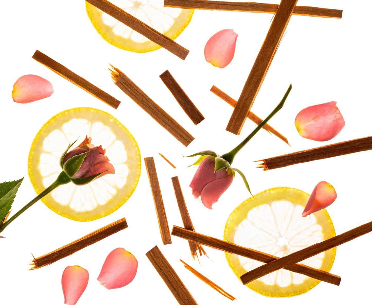 Touchland Blue Sandal Wood